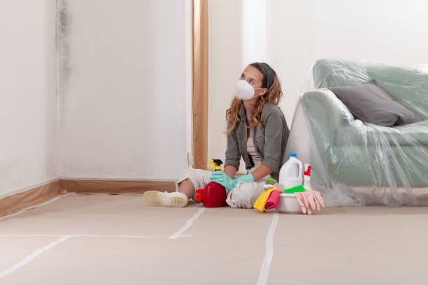 Reliable Commercial Mold Remediation contractor in Paulsboro, NJ by WQB Mold Removal